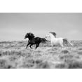 thumbnail image 2 of Walker, Carol 32x23 Black Ornate Wood Framed with Double Matting Museum Art Print Titled - Black And White Mates, 2 of 4
