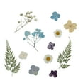 thumbnail image 3 of Sulyn Dried Flowers- Turquoise, Purple, Yellow, and Beige Mix, Plastic Package, 3 of 7