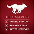 thumbnail image 5 of Purina ONE True Instinct High Protein Dry Dog Food for Adult Dogs, Muscle Support, Salmon & Tuna, 15 lb Bag, 5 of 11
