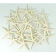 thumbnail image 1 of Starfish Decor Nautical Crush Trading, paquete de 20 unidades de 5 a 8 cm, color blanco, 1 of 9