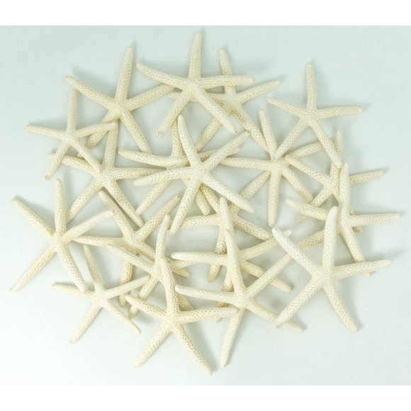 Starfish Decor Nautical Crush Trading, paquete de 20 unidades de 5 a 8 cm, color blanco