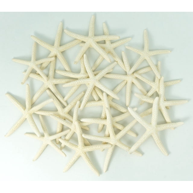 Starfish Decor Nautical Crush Trading, paquete de 20 unidades de 5 a 8 cm, color blanco