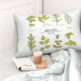 thumbnail image 4 of Goofa Herbs and Spices Print Plush Throw Pillow Case, Soft Velvet with Hidden Zipper, Decorative Cushion Cover for Sofa, Bed, Car, and Home Décor-20"x30", 4 of 6