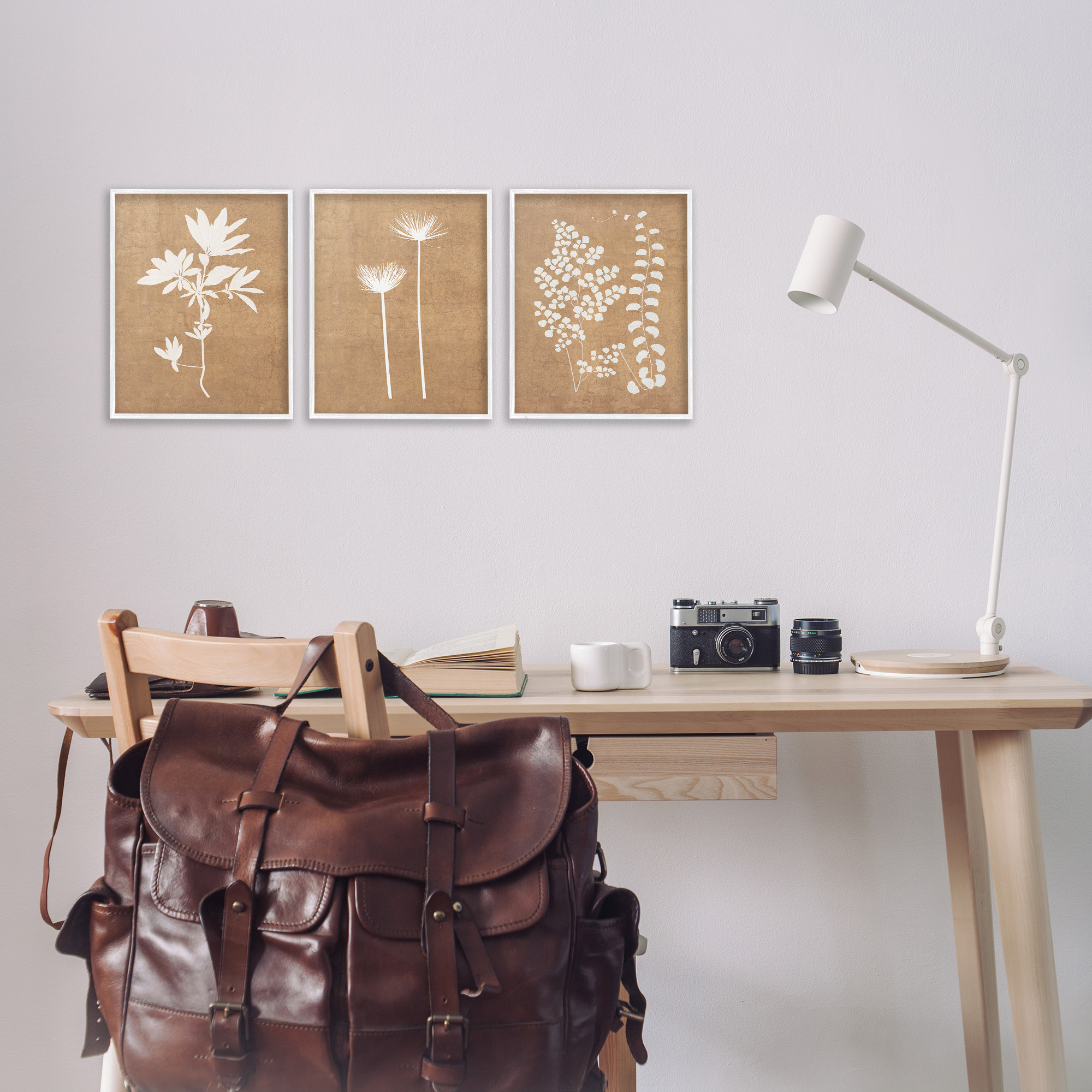 Stupell Industries Nature Botanical Silhouettes Botanical & Floral Painting White Framed Art Print Wall Art, 11 x 14, Set of 3