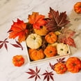 thumbnail image 4 of Cojín de Color de calabazas Zulema 24x de terciopelo, 4 of 7