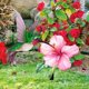 thumbnail image 5 of Inserciones Decorativas para Jardín, Letrero de Flores para Césped, Estacas para Jardín, Decoración Al Aire Libre, Pájaros, Estaca para Césped, Arte de Patio, 5 of 5