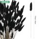 thumbnail image 3 of Uxcell 60 Pack Hierbas de Cola de Conejo 17" para Decoración del Hogar/Boda Negra, 3 of 7
