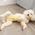 thumbnail image 4 of Diaper Dog Couche pour Chien Réutilisable à Rayures Créatives Mode pour Animal Culotte Hygiénique, 4 of 10