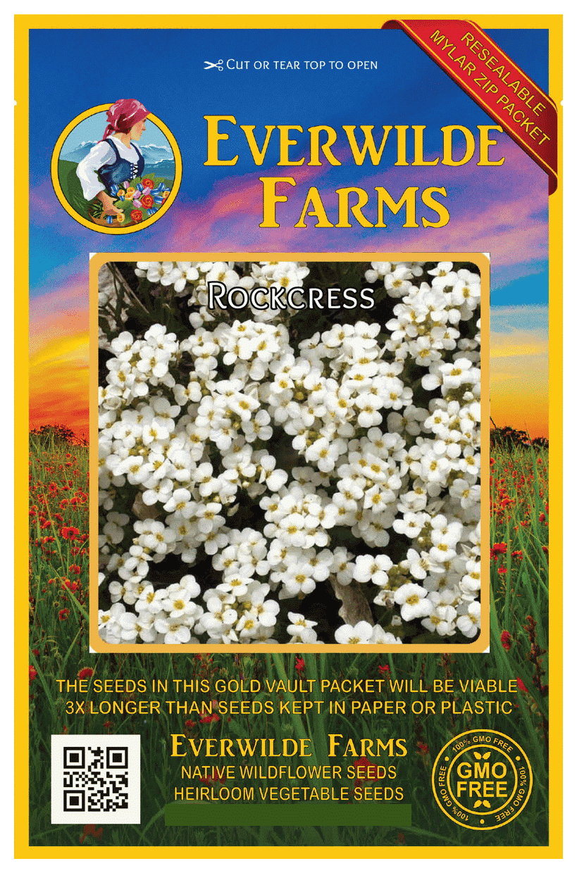 Everwilde Farms 2000 Rockcress Native Wildflower Seeds Gold Vault