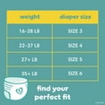 thumbnail image 6 of Pampers Swaddlers 360 Pull-On Baby Diapers Size 4, 100 Count (Select for More Options), 6 of 12