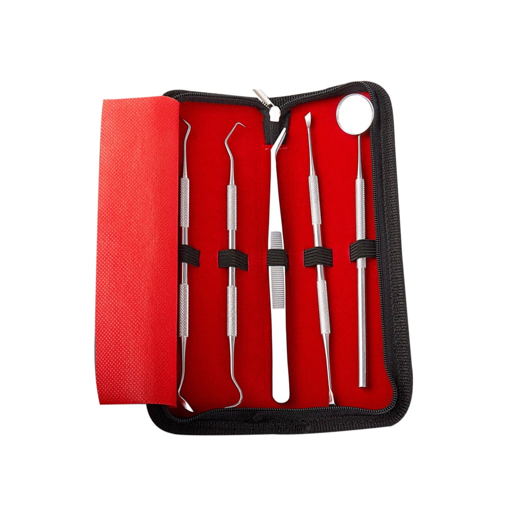 5pcs/set Stainless Steel Dental Tool Set Tooth Scraper Mirror Dental