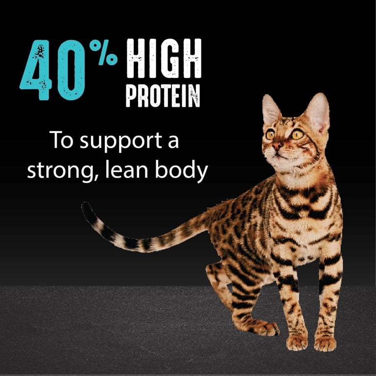 Crave Grain Free High Protein Dry Cat Food With Salmon & Ocean Fish, 2 Lb photo 8