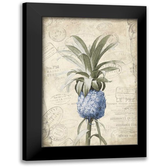 Grey, Jace 11x14 Black Modern Framed Museum Art Print Titled - Blue Pineapple