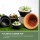 thumbnail image 5 of Macetas de escritorio poco profundas, 6 unidades, de plástico, para flores, bonsái, 5 of 6