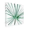 thumbnail image 2 of Melissa Wang 'Palm I' Canvas Art, 2 of 3