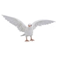 thumbnail image 6 of Hi-Line Gifts 18.5" Pigeon Spread Wings Outdoor Garden Statue, 6 of 6