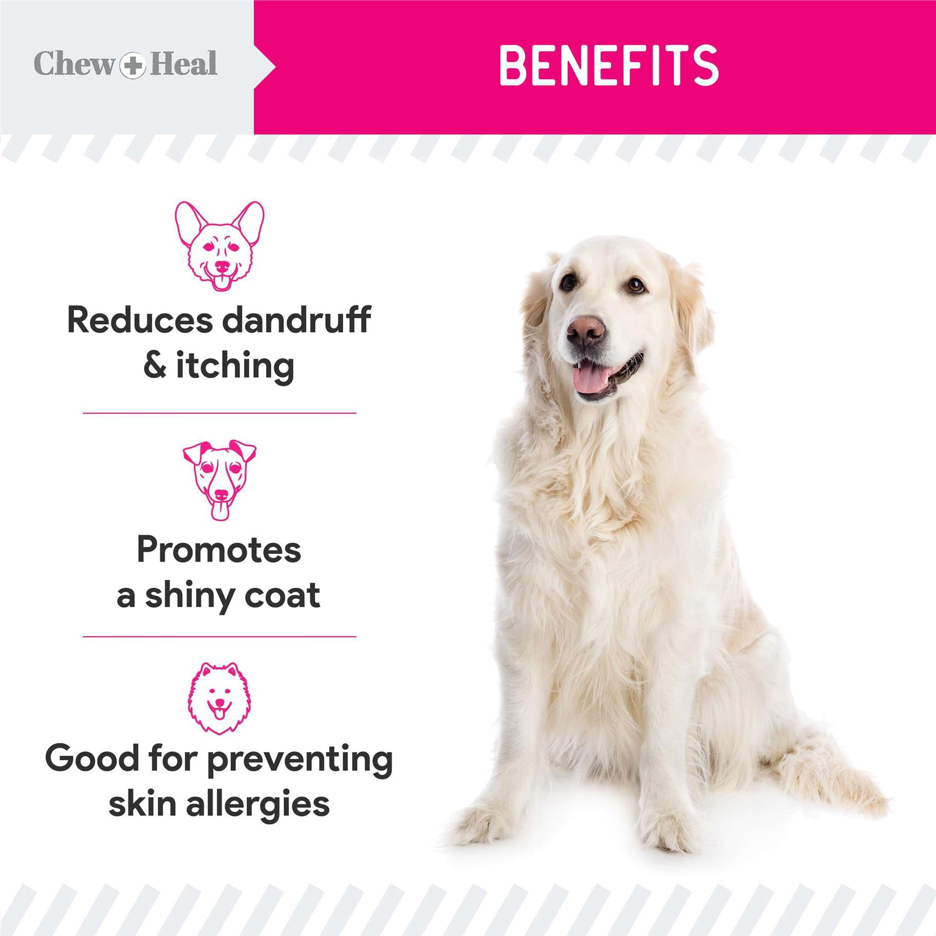 Chew + Heal Omega Powder for Dogs, 14 oz - with Omega 3, 6, and 9 Fatty Acids, Biotin, and Vitamin C