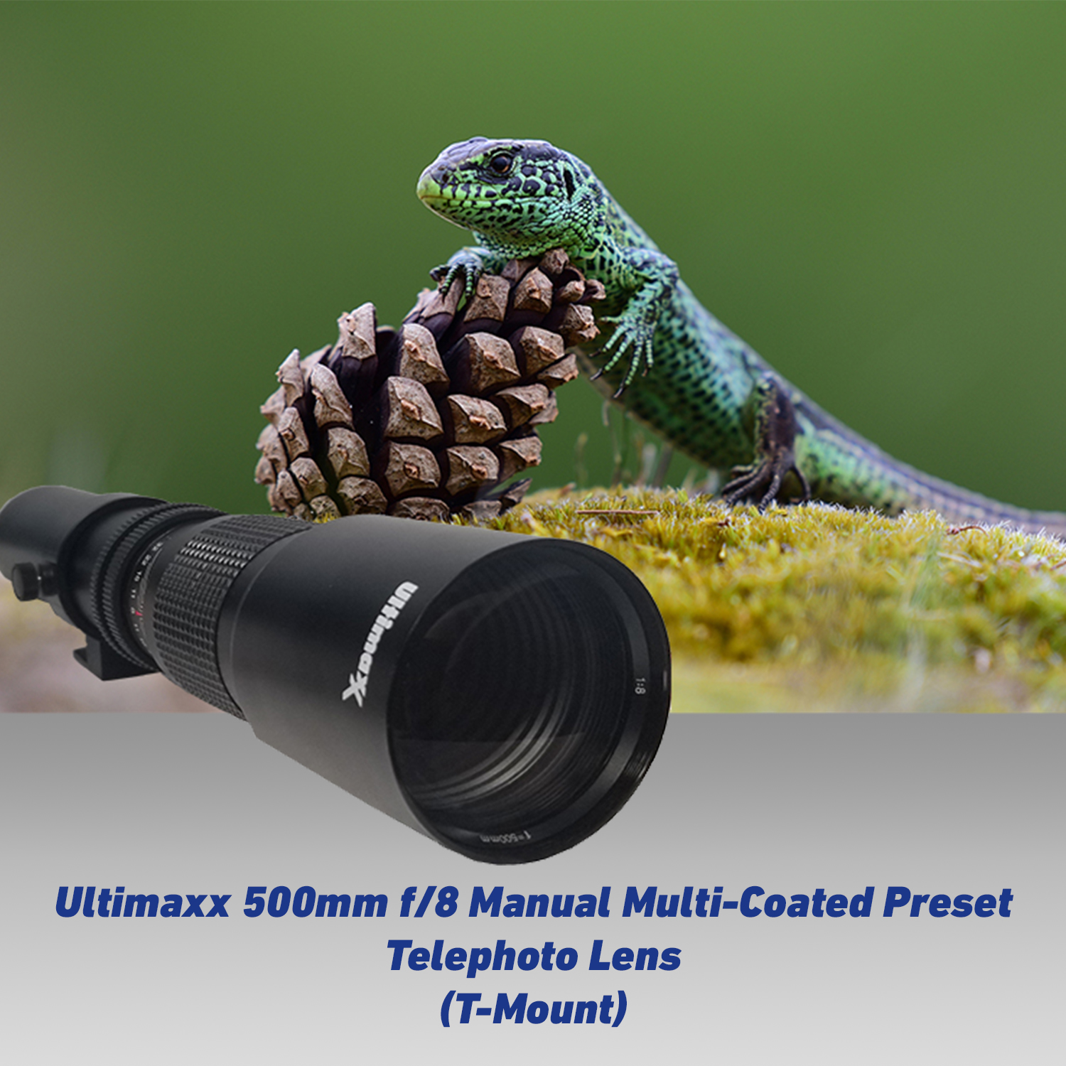 Ultimaxx 500mm f/8 Preset Telephoto Lens for Nikon Z7 Z7II Z6 Z6II Z5 Z50 Mirrorless Camera & Other Z-Mount Cameras with Basic Accessory Bundle - Includes: 2x Converter for T-Mount Lenses & More - image 3 of 6