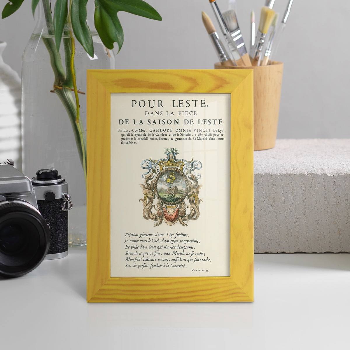 Printed Embellished Bookplate VI - Framed Print w/glass - Sunflower Yellow