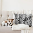 thumbnail image 4 of Ambesonne Black White Throw Pillow Cover 2 Pack, Wall Street NYC Photo, 20", White and Black, 4 of 5