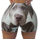 thumbnail image 2 of Fotbe Adorable Puppy Portrait Shorts Sin Costuras – Shorts Deportivos de Cintura Alta para Mujer, Elásticos para Gimnasio, Yoga, Running o Ciclismo-Large, 2 of 8