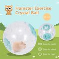 thumbnail image 1 of Labymos Hamster Exercise Ball Hamster Crystal Ball 5.5 Inch Clear Hamster Running Ball, 1 of 8