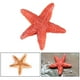 thumbnail image 4 of Xihbxyly Almacén de Liquidación Figuras de Animales Marinos Realistas de Simulación Sólida, Figuritas de Abs, Modelos de Colección, Juguetes de Educativos para Niños, 4 of 7