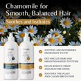 thumbnail image 2 of Set de champú y acondicionador EDENIKA BOTANICALS Manzanilla 480 ml, 2 of 8