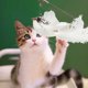 thumbnail image 4 of Gatito divertido Tease juguete lindo reemplazo teaser gato encantos exquisitos suministros para mascotas Hugtrwg Para estrenar, 4 of 9