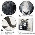 thumbnail image 3 of Designart "Supremacy Of The Black And White Ram II" Animals Goat Canvas Art Print, 3 of 7