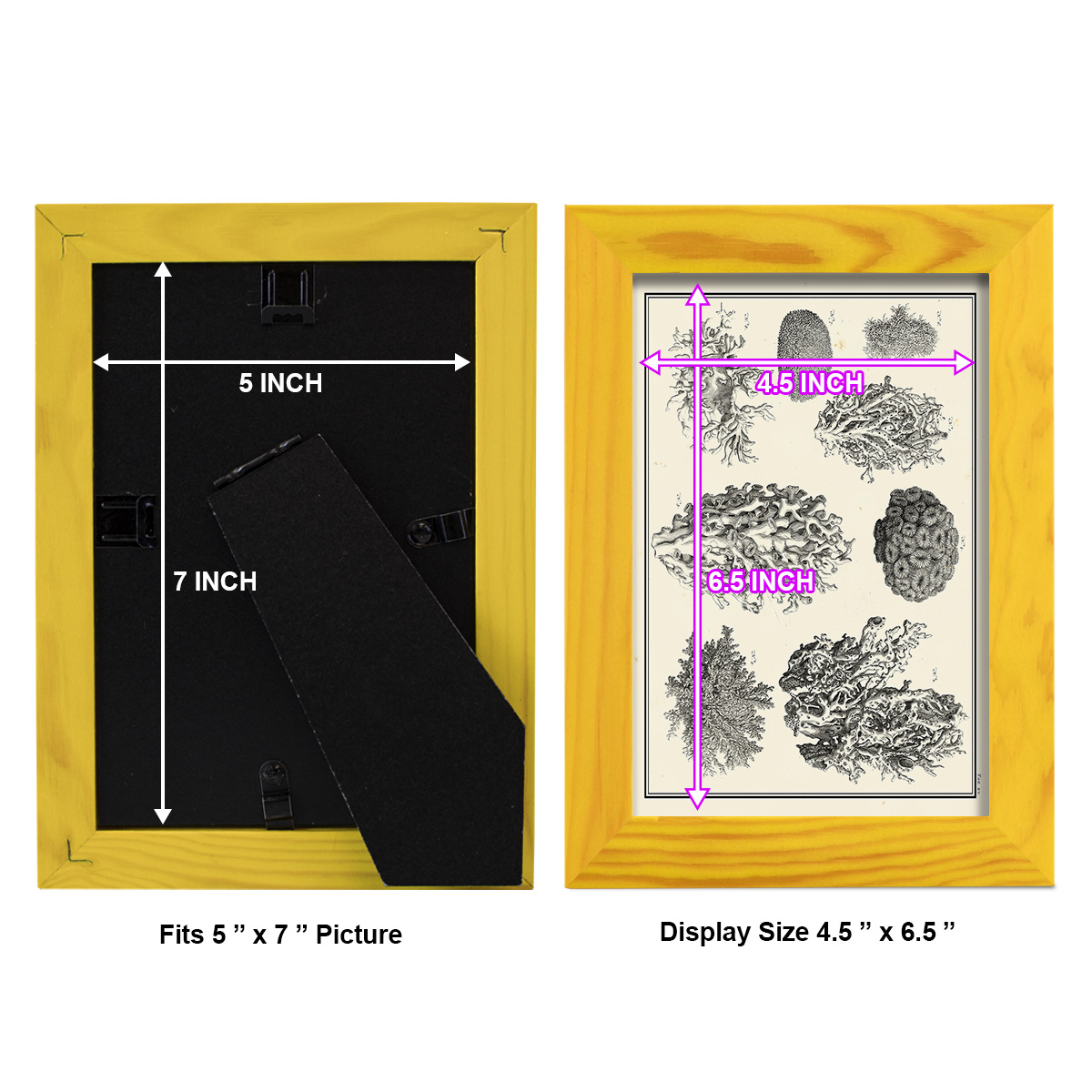 Aegean Collection IV -Framed Print w/glass-Sunflower Yellow