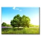 thumbnail image 1 of Cuadro Canva Pixtreats listo para Colgar tipo galería Arbol en Primavera 40X60 cm, 1 of 4