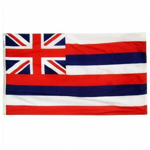 Annin Flagmakers 141260 3 ft. x 5 ft. Nyl-Glo Hawaii Flag