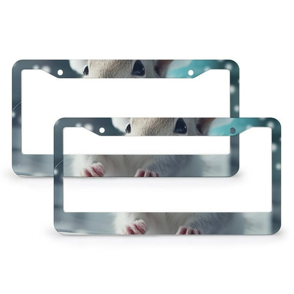 2 Pieces Snowy Squirrel on White Glass And Wearing Santa Hat License Plate Frames Squirrel Gifts License Plate Cover Front Plates Frames Car Tag Frame Quality Aluminum for Women Men