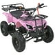 thumbnail image 1 of Cuatrimoto Atv Niños Motor A Gasolina Little monkey 49cc Con Tumbaburros, 1 of 4