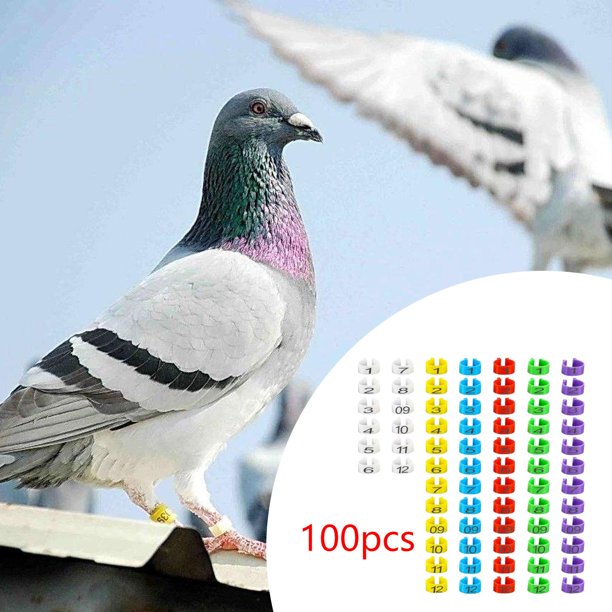100 piezas de bandas para patas de aves, bandas de identificación de aves de 8 mm, numeradas, accesorios fáciles de usar, anillos para patas de aves