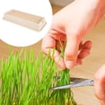 thumbnail image 3 of OULII 1Pcs Cat Grass Cultivation Box for Soilless Planting in Beige Color, 3 of 8
