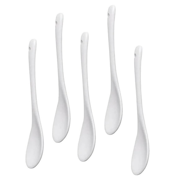 Set Of 5 Ceramic Spoon Teaspoon Spoon