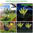 thumbnail image 3 of Syenll Solar Gardenia Lights Outdoor, 2 pack Decorative LED Solar Flower Lights, Waterproof Solar Pathway Lights for Yard Lawn Patio Decoration, Warm Light, 3 of 8