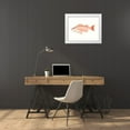 thumbnail image 3 of McCavitt, Naomi 18x15 White Modern Wood Framed Museum Art Print Titled - Watercolor Deep Sea Fish I, 3 of 4