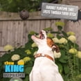 thumbnail image 2 of Juguete para perros Chew King Supreme Fetch Ball Collection, tamaño mediano, 2 of 6