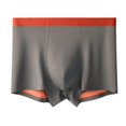 thumbnail image 2 of ylioge L-4X Plus Size Underwear for Men Boxer Briefs Big & Tall High Waisted Casual Stretchy Slim-Fit Solid Color Breathable Soft Modal Boxers, 2 of 5