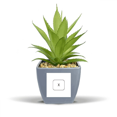 thumbnail image 1 of Keyboard Symbol X Art Deco  Fashion Fake Pineapple Flower Pot Vase Mini Decor, 1 of 3