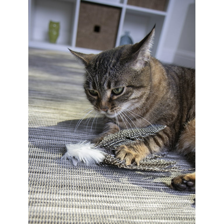 Petlinks HappyNip Zippy Zebra Catnip Cat Toy - Walmart.com