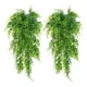 thumbnail image 1 of Planta de Helechos Colgantes de Paredes Artificiales, Vía de Plásstico falsa Mantenimiento decorativo decorativo dura 2 piezas para jardín para jardín, 1 of 8