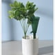 thumbnail image 5 of Riego automático para plantas | Sistema de riego por goteo ajustable para macetas | Temporizador de 7 días para vacaciones y viajes | Depósito de 200 ml para jardines de interior y exterior, 5 of 6