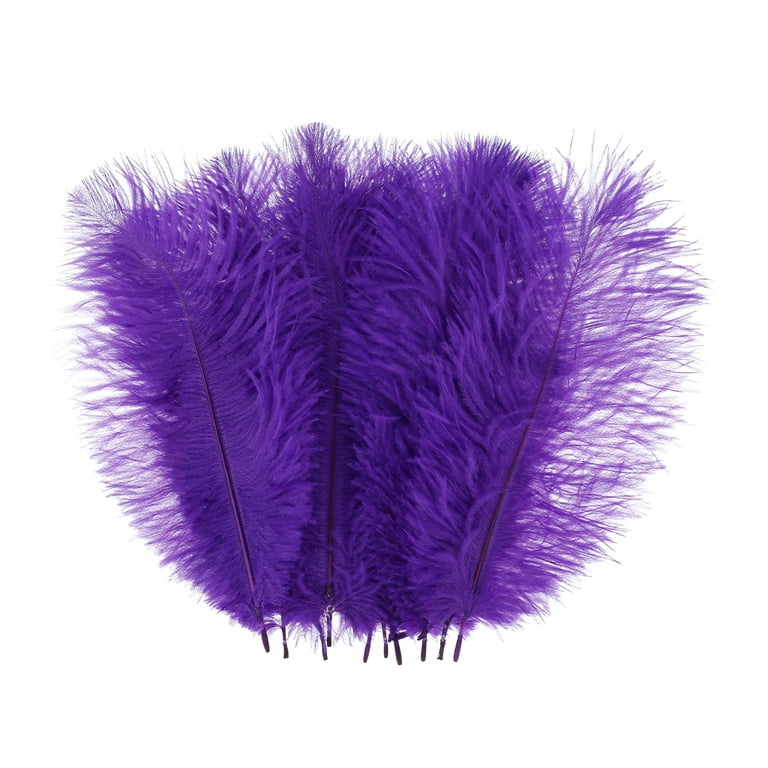 OnlineFeathers 4 Ply Purple/Hot Pink Ostrich Feather Boa 2 Yards for Costume Halloween Design Theater Bridal Craft Burlesque