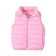 thumbnail image 2 of WOYY Toddle Girls Puffer Vest Solid Zip Up Sleeveless Jacket for Winter Fall Outerwear, 2 of 4
