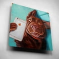 thumbnail image 5 of Epic Art 'Dog Selfie' by Lucia Heffernan, Acrylic Glass Wall Art, 12"x12", 5 of 8