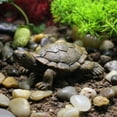 thumbnail image 5 of Xoiie Mini Turtle Figurines, Tortoise Garden Figurine, Realistic Micro Sea Turtle Simulation Small Tortoise Ornaments Cute Sea Turtles for Home Garden Decor, 5 of 5
